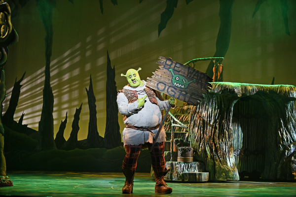 Photo Flash: First Look at 3-D Theatricals' SHREK THE MUSICAL Image