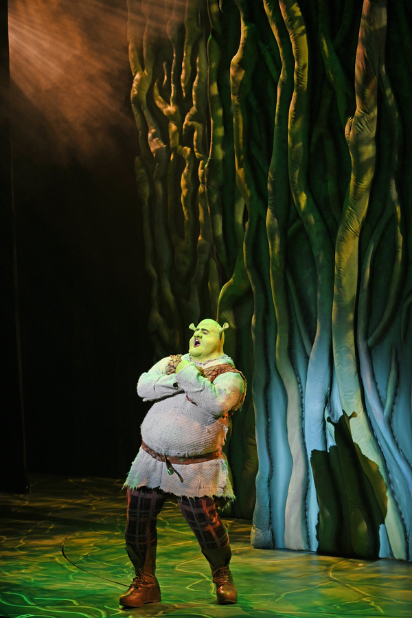 Photo Flash: First Look at 3-D Theatricals' SHREK THE MUSICAL Image
