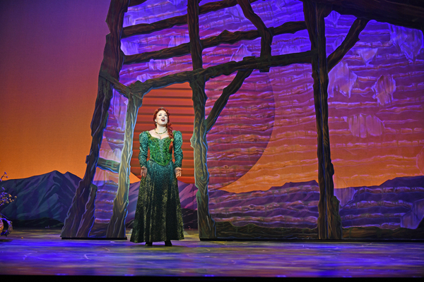 Photo Flash: First Look at 3-D Theatricals' SHREK THE MUSICAL 