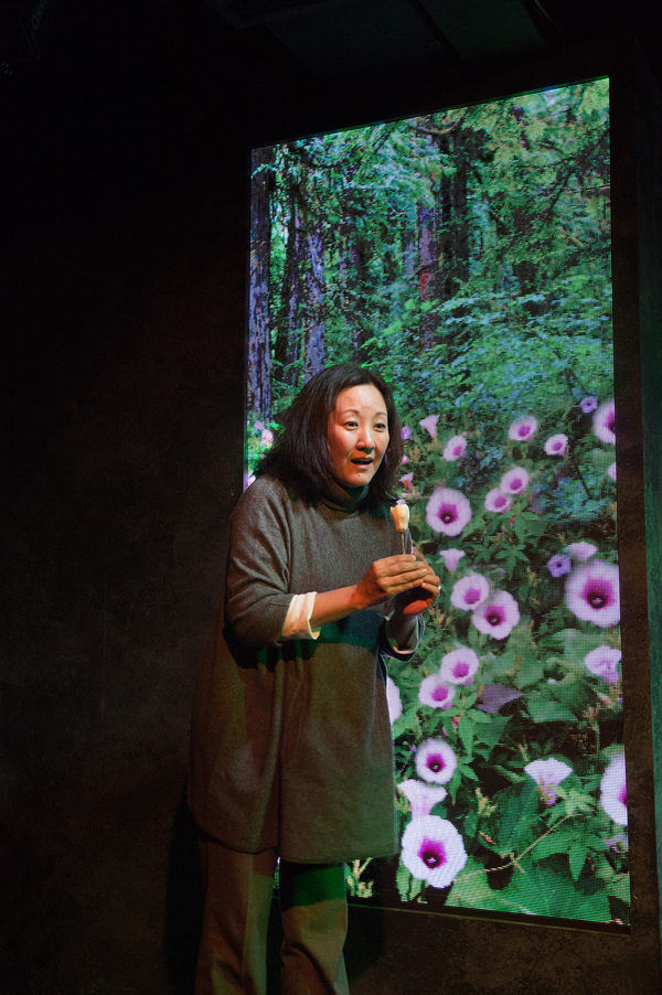 Photo Flash: First Look At HANNAH AND THE DREAD GAZEBO, Opening Tomorrow Image
