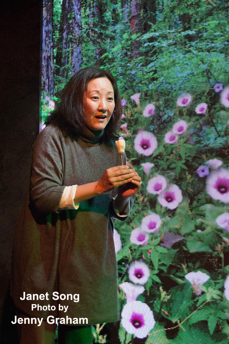 Review: Strong, But Bewildering HANNAH AND THE DREAD GAZEBO - An Enlightening Korean Tale 