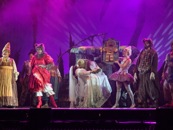 Photo Coverage: Curtain Call And Meet And Greet Of 3-D Theatricals' SHREK Image