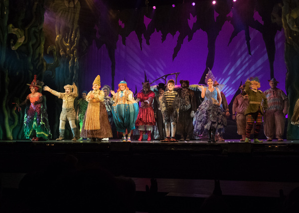 Photo Coverage: Curtain Call And Meet And Greet Of 3-D Theatricals' SHREK Image