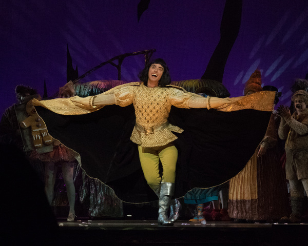 Photo Coverage: Curtain Call And Meet And Greet Of 3-D Theatricals' SHREK Image