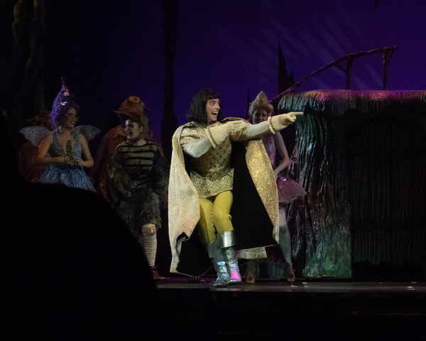Photo Coverage: Curtain Call And Meet And Greet Of 3-D Theatricals' SHREK Image