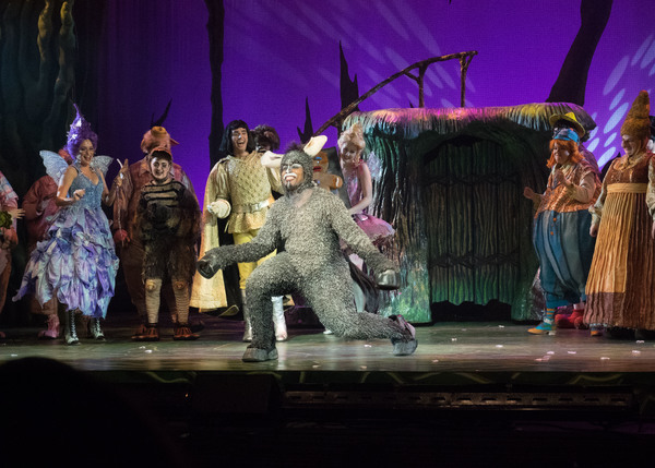 Photo Coverage: Curtain Call And Meet And Greet Of 3-D Theatricals' SHREK Image