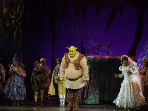 Photo Coverage: Curtain Call And Meet And Greet Of 3-D Theatricals' SHREK Image