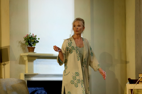 Photo Flash: First Look at Lindsay Duncan and Alex Jennings in HANSARD at the National Theatre Image