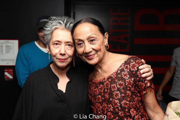 Photo Flash: Jessica Hagedorn, Ching Valdes-Aran, Alan Ariano And More Celebrate FELIX STARRO Opening Night Image