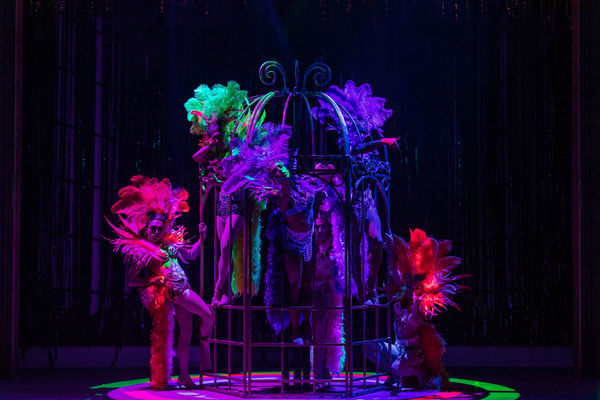 Photo Flash: Geva Theatre Center Presents LA CAGE AUX FOLLES Image