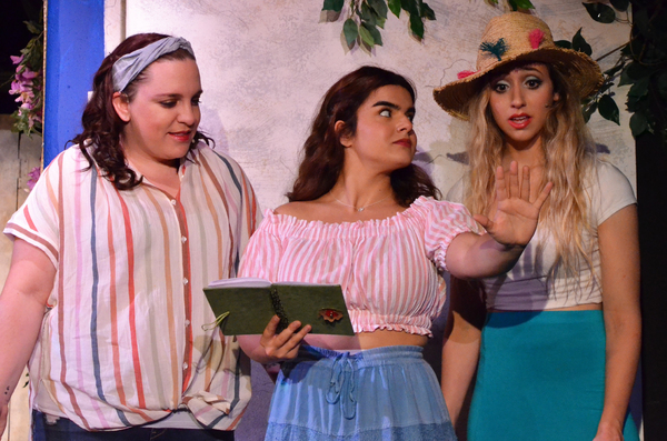 Photo Flash: MAMMA MIA! At Fountain Hills Theater Image
