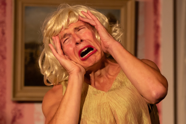 Photo Coverage: First Look at Curtain Players' LEADING LADIES Image