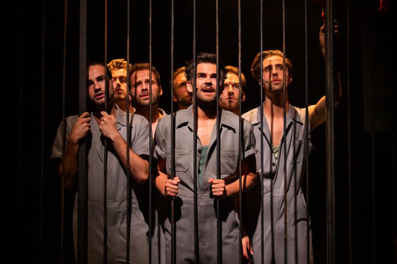 Review: KISS OF THE SPIDER WOMAN at Fakkel Theater Image
