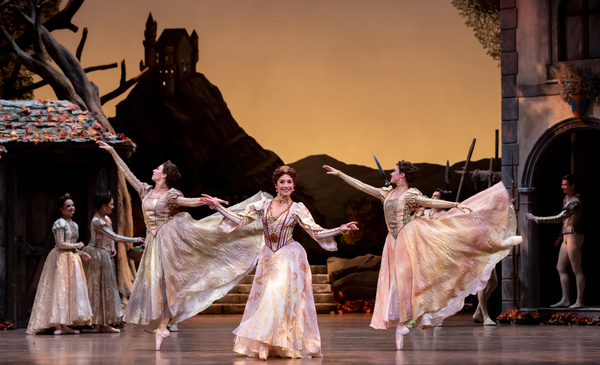 Photo Flash: First Look at Houston Ballet's GISELLE Image