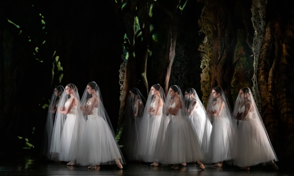 Photo Flash: First Look at Houston Ballet's GISELLE Image