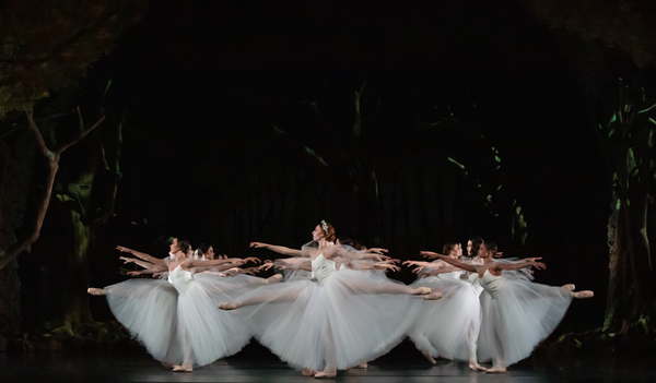 Photo Flash: First Look at Houston Ballet's GISELLE Image