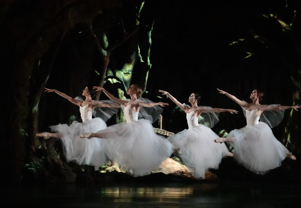 Photo Flash: First Look at Houston Ballet's GISELLE Image