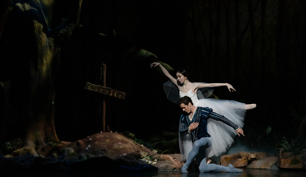 Photo Flash: First Look at Houston Ballet's GISELLE Image