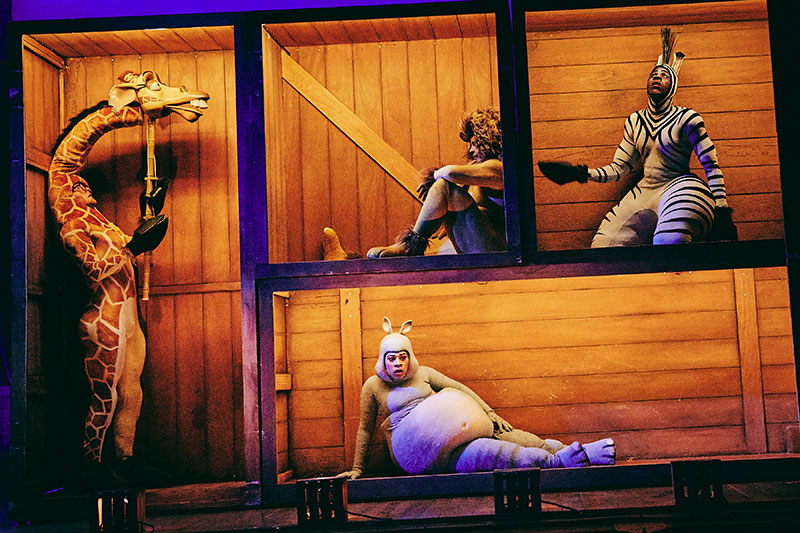 Review: MADAGASCAR THE MUSICAL at HKAPA Image