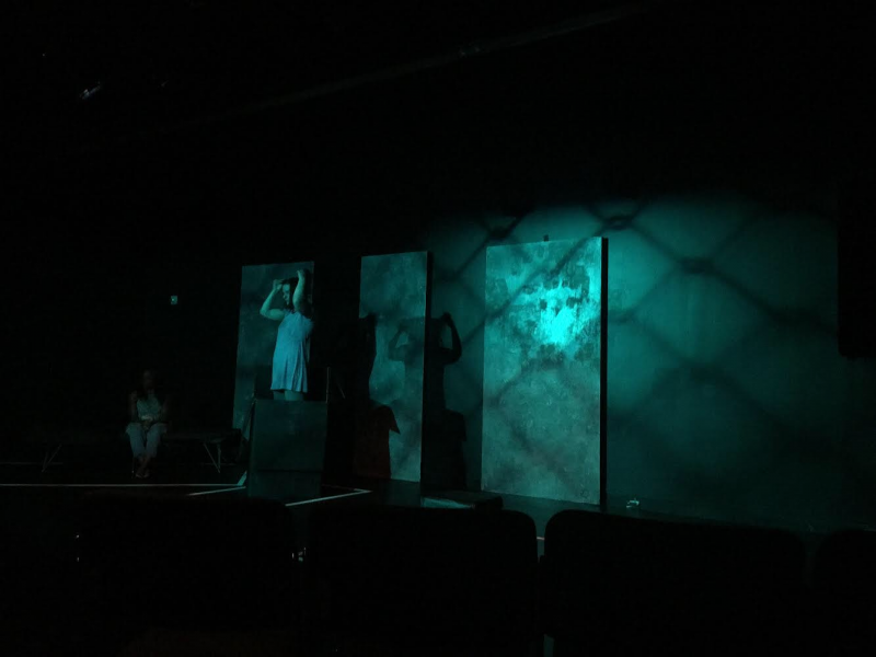 Review: SURFACING: AN INVENTORY OF HELPLESSNESS at ExPats Theatre Image