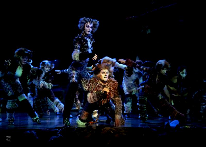 Review: CATS PRESS CALL at Ronacher Theater Wien 