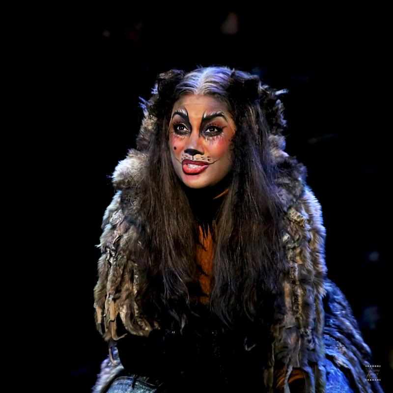 Review: CATS PRESS CALL at Ronacher Theater Wien 