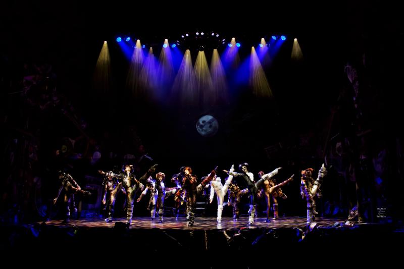 Review: CATS PRESS CALL at Ronacher Theater Wien 