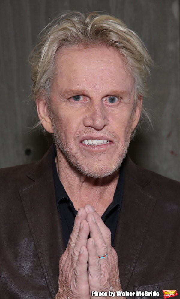 Gary Busey Photo