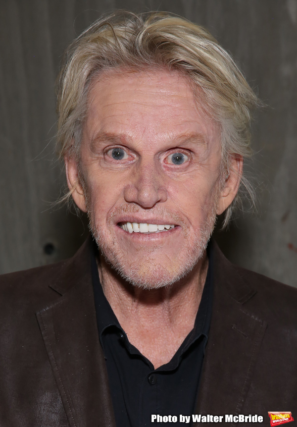 Gary Busey Photo