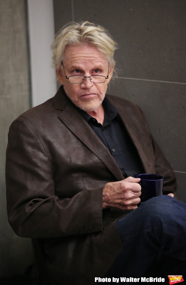 Photo Coverage: Get a Sneak Peek at the New Musical ONLY HUMAN, Starring Gary Busey Image