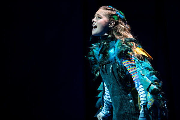Photo Flash: First Look at the Pre-Broadway Production of FLY MORE THAN YOU FALL Image