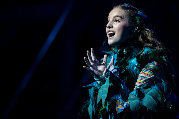 Photo Flash: First Look at the Pre-Broadway Production of FLY MORE THAN YOU FALL Image