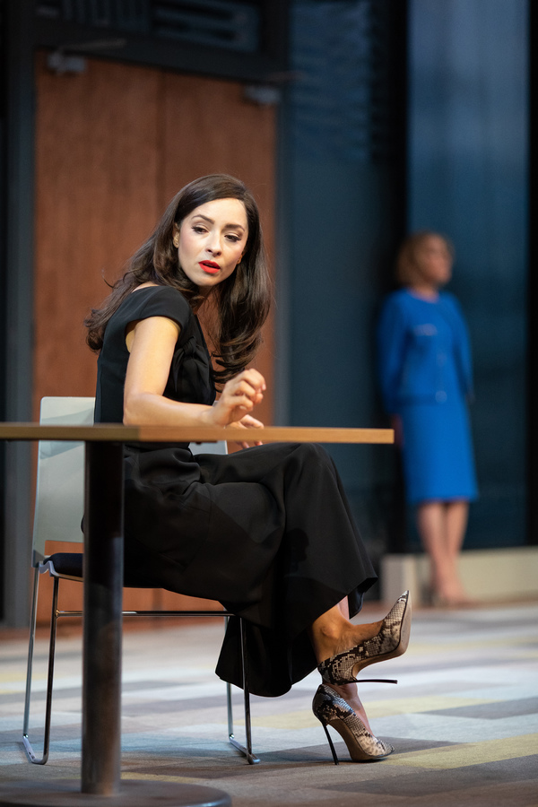 Photo Flash: Zoe Wanamaker and Zrinka Cvitesic Star in TWO LADIES Image