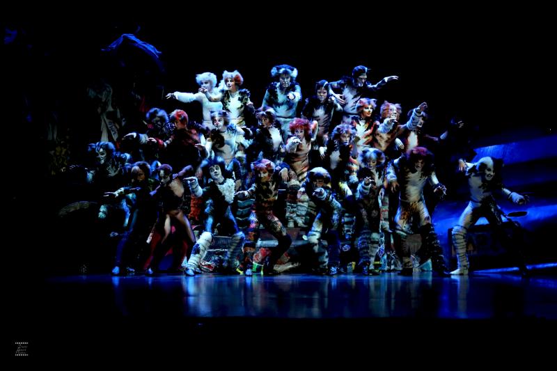 Review: CATS at Ronacher 