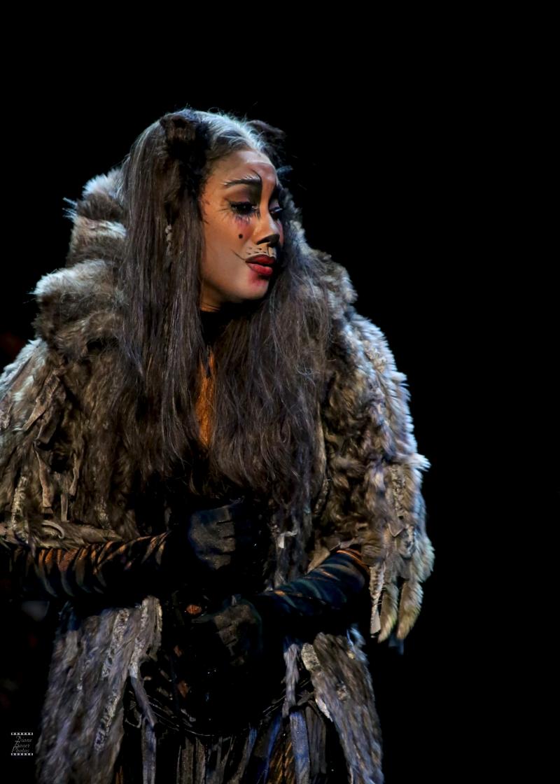Review: CATS at Ronacher 
