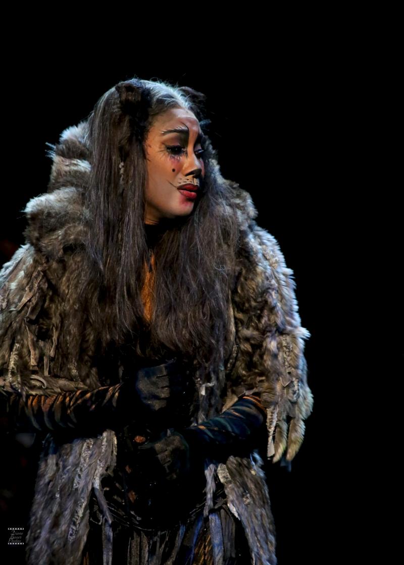 Review: CATS at Ronacher Image