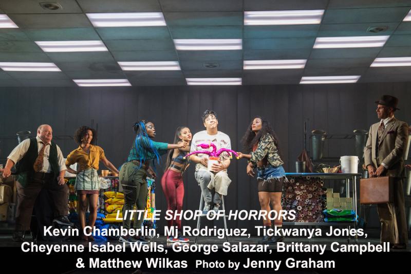 Interview: A Glee-ful Amber Riley From DREAMGIRL Effie To LITTLE SHOP's Audrey II Image