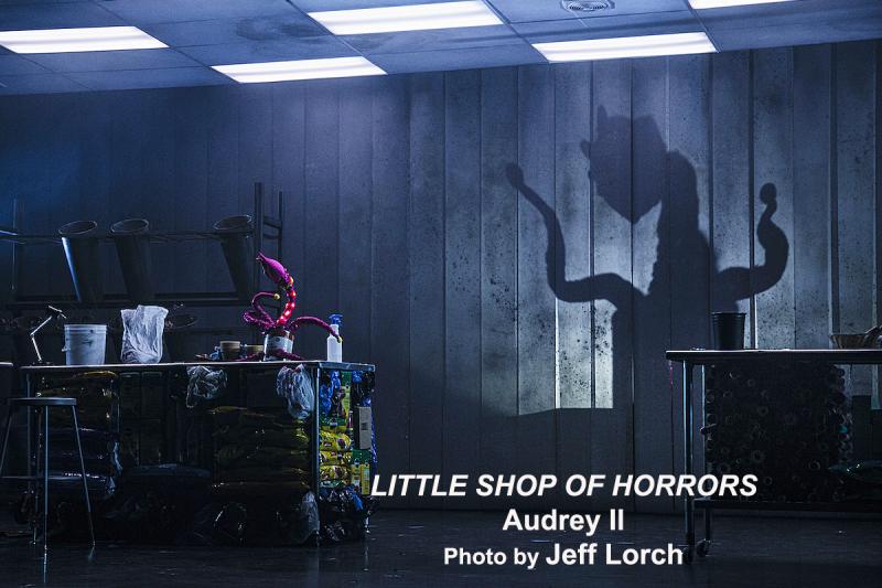 Interview: A Glee-ful Amber Riley From DREAMGIRL Effie To LITTLE SHOP's Audrey II Image