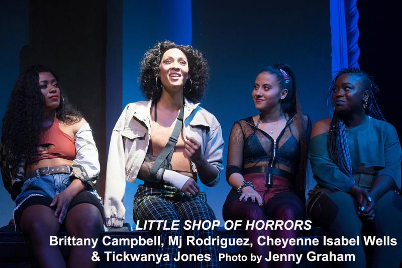 Interview: A Glee-ful Amber Riley From DREAMGIRL Effie To LITTLE SHOP's Audrey II Image