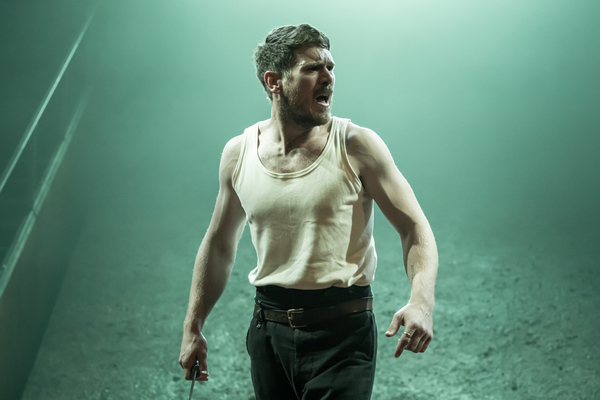 Photo Flash: First Look at Young Vic's BLOOD WEDDING Image