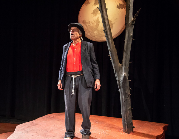 Richard Donelly in WAITING FOR GODOT at The Wilbury Theatre Group in Providence, RI;  Photo