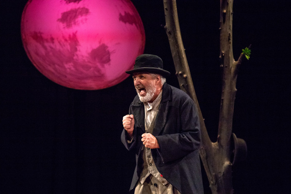 Photo Flash: First Look At WAITING FOR GODOT At The Wilbury Theatre Group Image