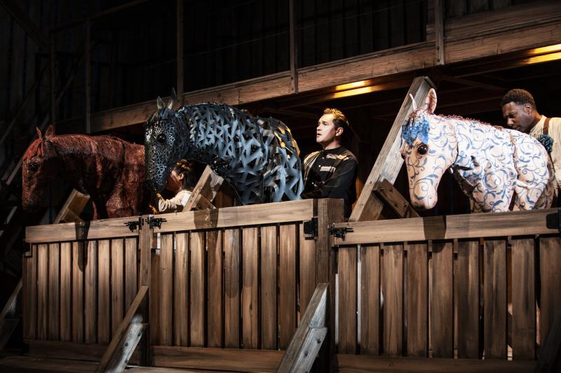 Review: Seattle Children's Theatre's BLACK BEAUTY Lacks an Arc Image