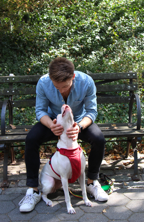 Tails of Broadway: WICKED's Riley Costello Plays Around with Ryder! Image