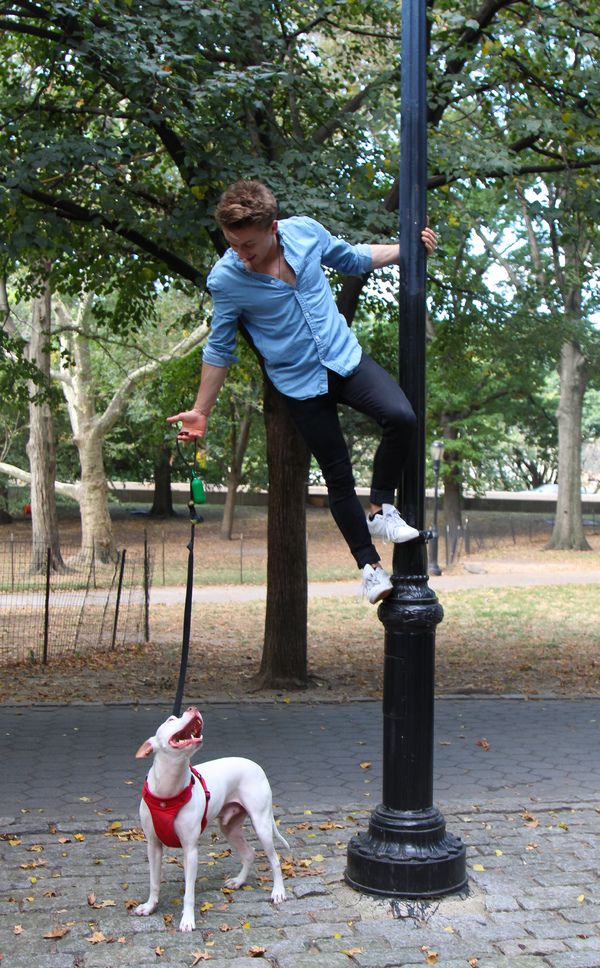 Tails of Broadway: WICKED's Riley Costello Plays Around with Ryder! Image