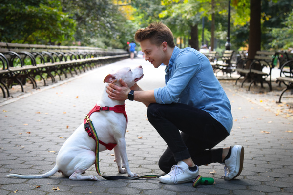 Tails of Broadway: WICKED's Riley Costello Plays Around with Ryder! Image