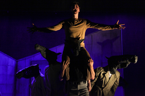 Photo Flash: First Look at AstonRep Theatre's EQUUS Image
