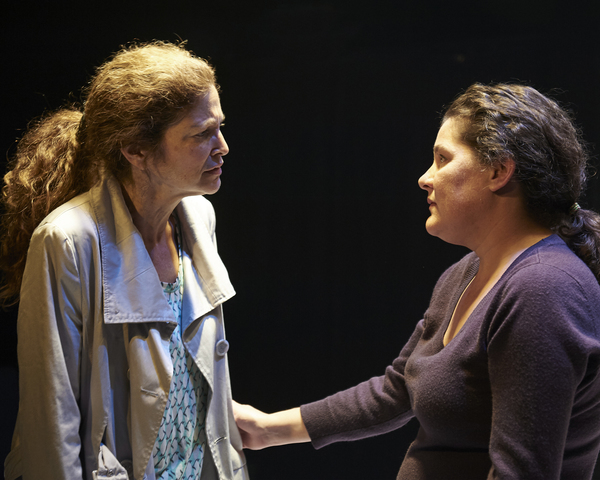 Photo Flash: First Look at MOSQUITOES at Steep Theatre Image
