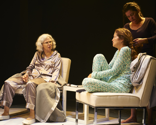 Photo Flash: First Look at MOSQUITOES at Steep Theatre 