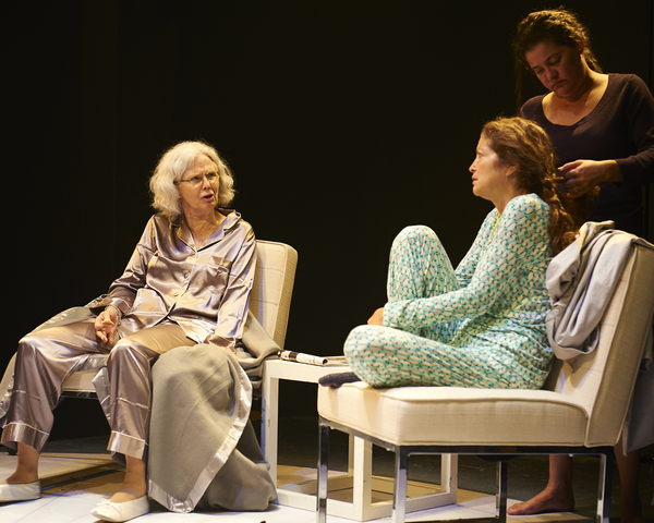 Photo Flash: First Look at MOSQUITOES at Steep Theatre Image